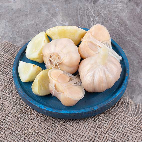 שום - פרופסור רפי קרסו