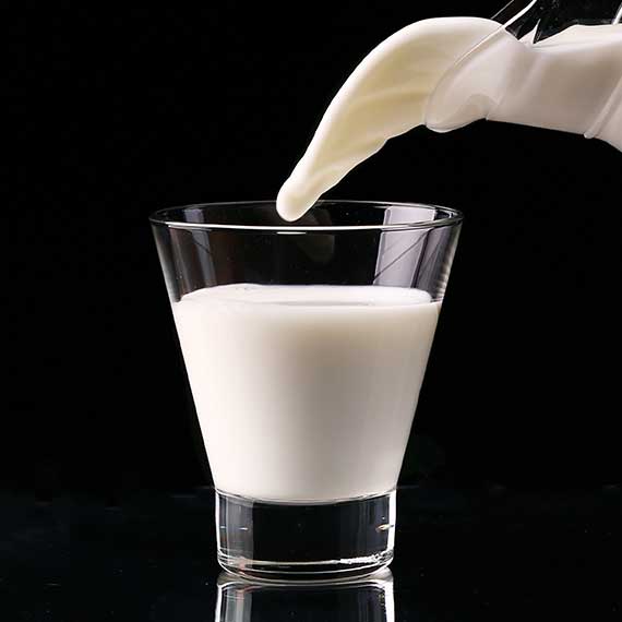 חלב - פרופסור רפי קרסו